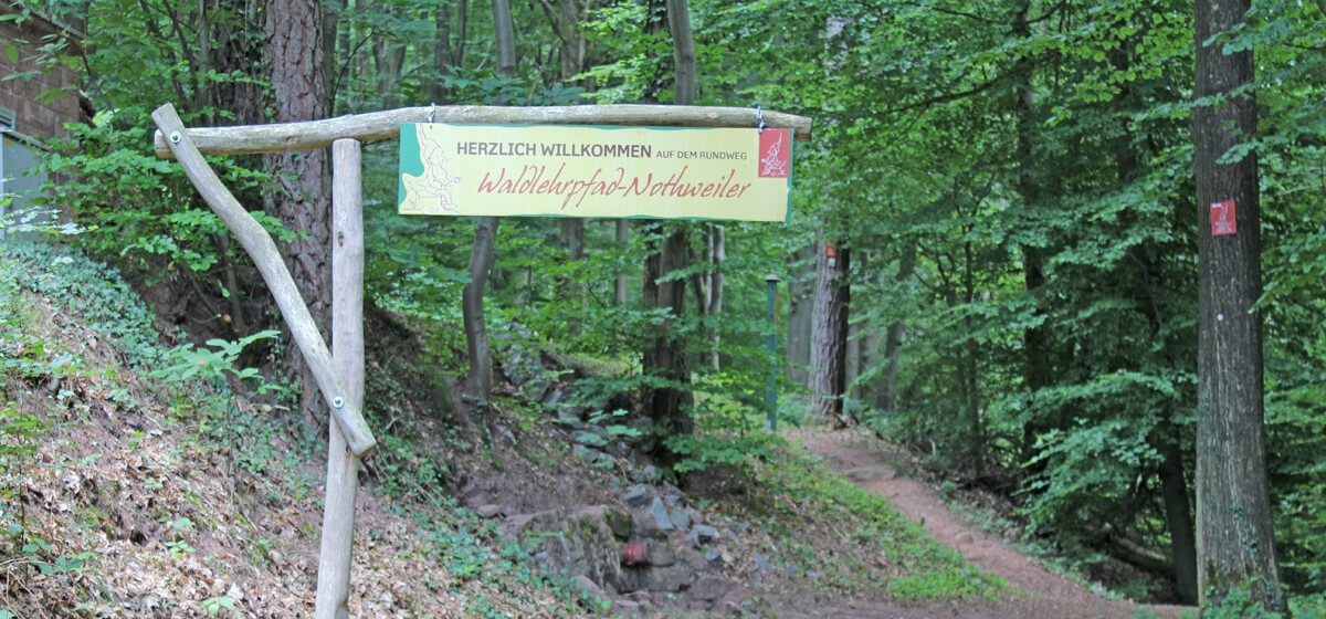 Waldlehrpfad in Nothweiler